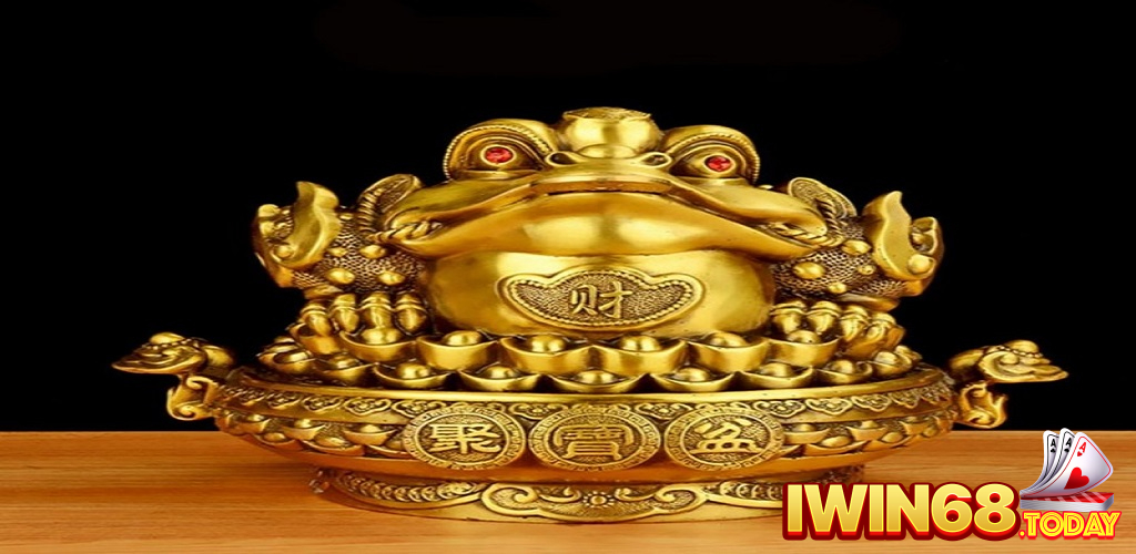 Chú cóc ba chân này sẽ không bao giờ làm dân cược thủ thất vọng